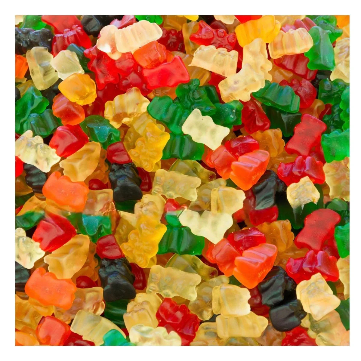 5 kg Gummy Galaxy Mega Gummy Bear Bucket featuring colorful, chewy gummy bears in a large clear bucket.
